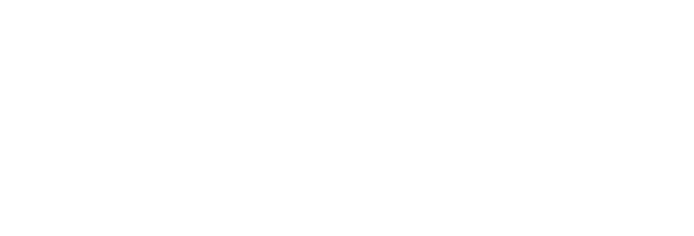 King Bear Cabins
